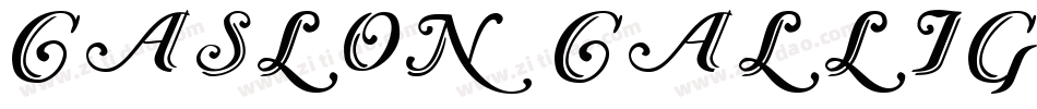 Caslon Calligraphic Initials字体转换